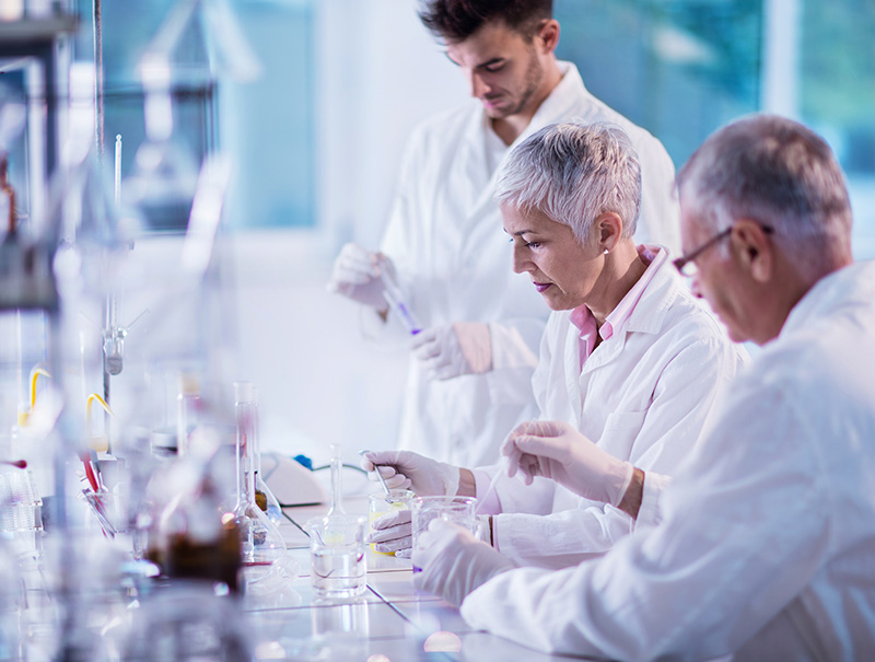 多元化的服務對象